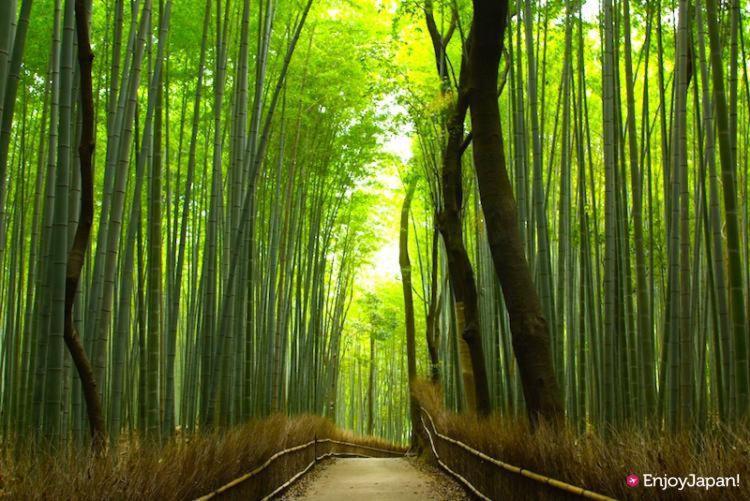 Hotel Tenjin Kyoto Dış mekan fotoğraf
