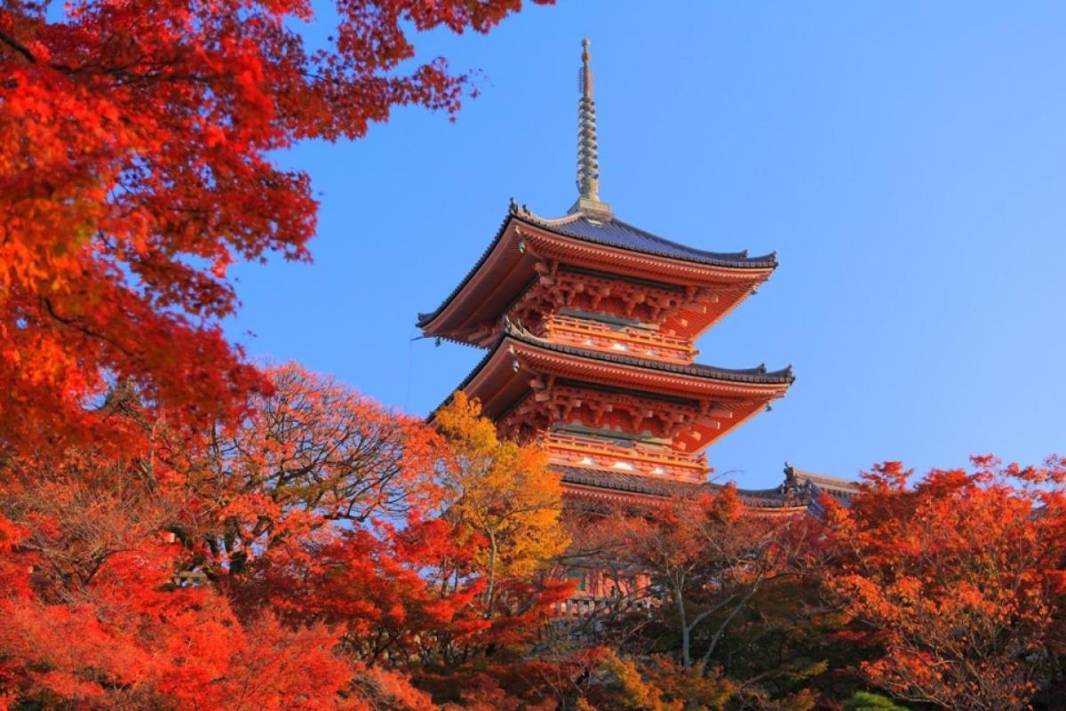 Hotel Tenjin Kyoto Dış mekan fotoğraf